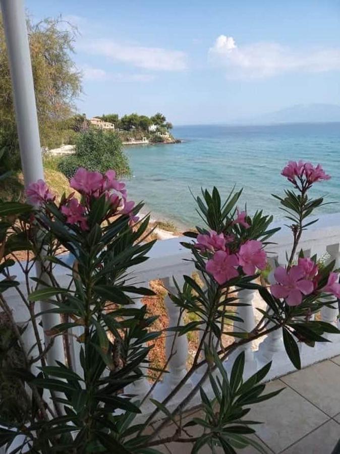 Clear Horizon Aparthotel Αμμούδι Εξωτερικό φωτογραφία