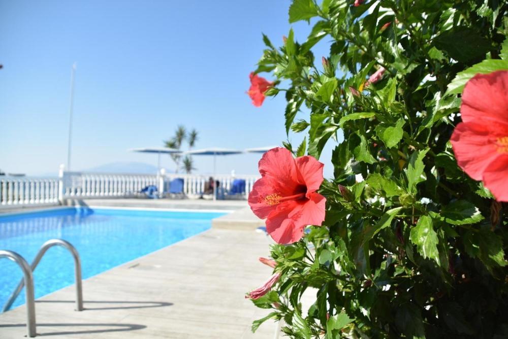 Clear Horizon Aparthotel Αμμούδι Εξωτερικό φωτογραφία